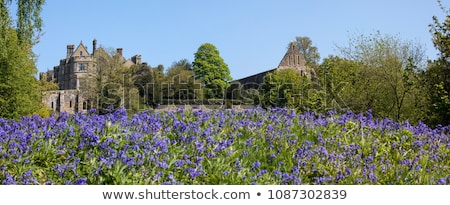 Stock fotó: Battle Abbey School Sussex Uk