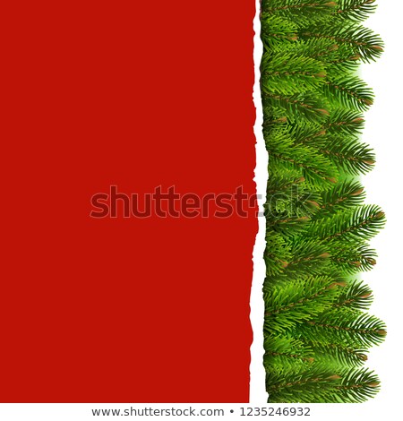 [[stock_photo]]: Fir Tree Border With Ripped Paper