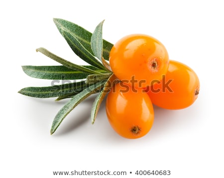 Foto d'archivio: Sea Buckthorn Berries