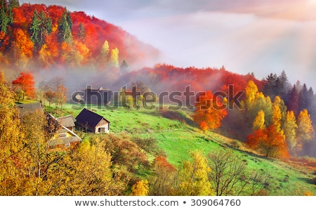 Stock photo: Colorful Autumn Landscape In The Carpathian Mountains