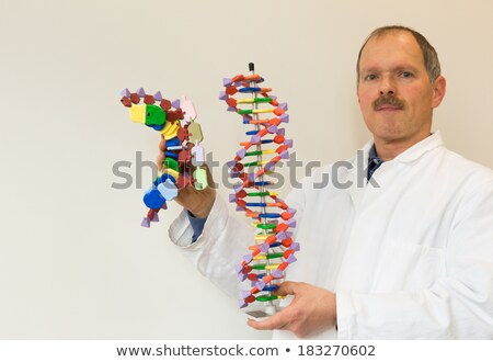 Foto stock: Biologist Shows Dna And Mrna Model