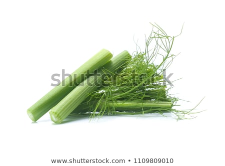 Foto stock: Fresh Fennel Bulbs