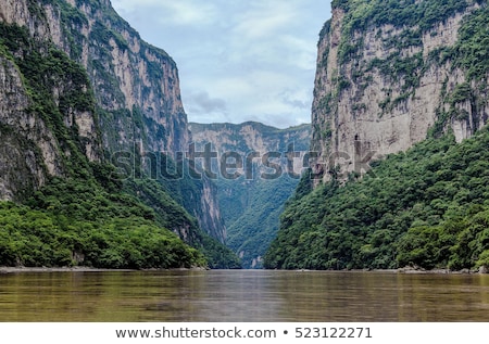 Foto stock: Crocodile In Sumidero Canyon Mexico