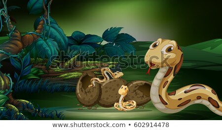 Zdjęcia stock: Snake And Its Offsprings In Forest