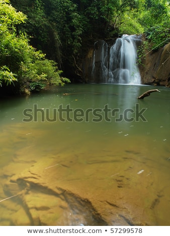 Stock photo: Smooth Rocks And Pond On A Tropical Forest Background