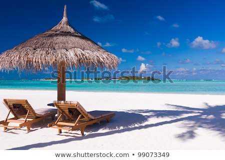 Foto stock: Chairs And Umbrella On A Beach With Shadow From Palm Tree