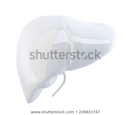 Zdjęcia stock: Human Liver 3d Render Isolated Contains Clipping Path