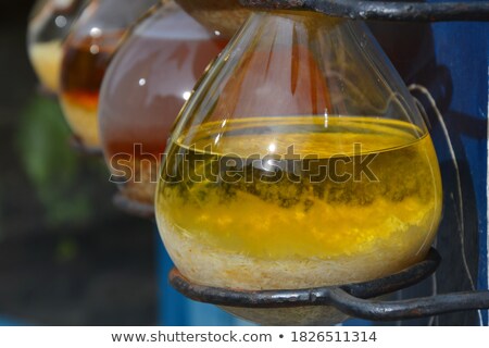 Foto d'archivio: Rows Of Fluid Chemicals In Bottles At Chemistry Education