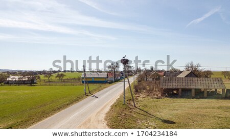 Сток-фото: Adult Stork Standing In Nest On Building