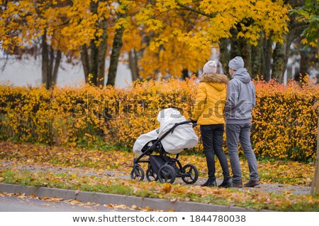 Stockfoto: Pram Baby Carriage Stroller Perambulator Buggy