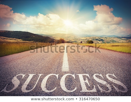Zdjęcia stock: Direct Road To Success
