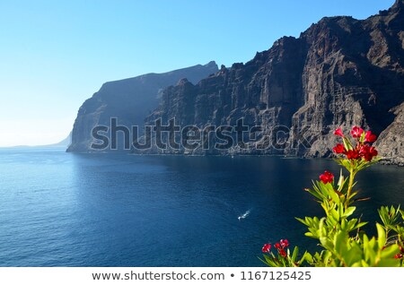 Stok fotoğraf: Los Gigantes On Tenerife