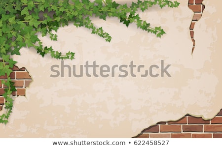 Stock photo: Green Vines Natural Stones