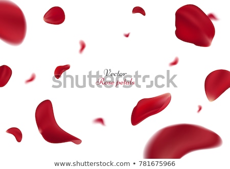 Foto stock: Red Rose Petals