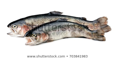 Сток-фото: Two Fresh Trout