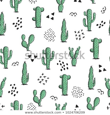 ストックフォト: Vector Seamless Pattern With Cactuses - Design Print Poster Card Textile