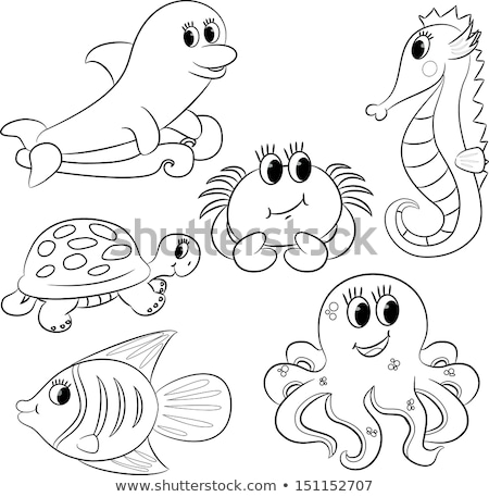 Сток-фото: Animal Outline For Squid