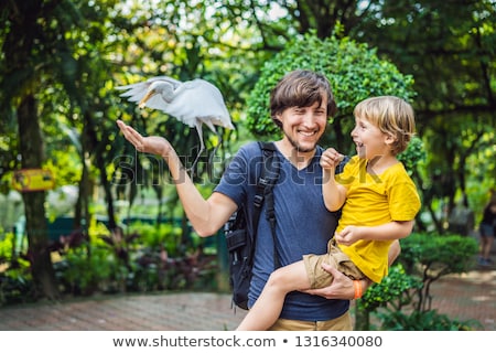 Stockfoto: Father And Son Feeding Ibes In The Park Little Egret Cattle Egr