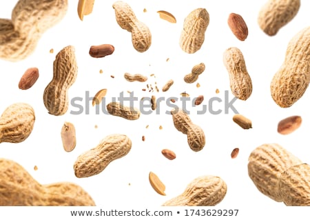 Stock photo: Peanut