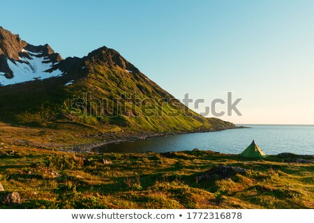 Stok fotoğraf: Natural Pebbles And Greenery