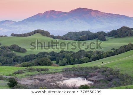 Sunset Over California Rolling Hills Foto stock © yhelfman