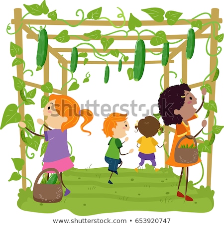 ストックフォト: Stickman Kids Harvest Arbor Beans Illustration