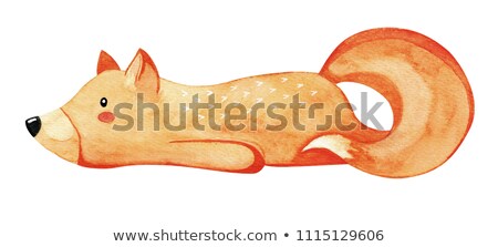 Сток-фото: Cute Lazy Fox Red Fox Isolated On White Background Watercolor