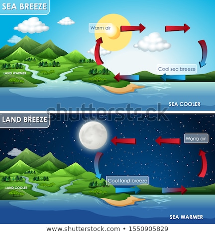 Stok fotoğraf: Science Poster Design For Land And Sea Breeze