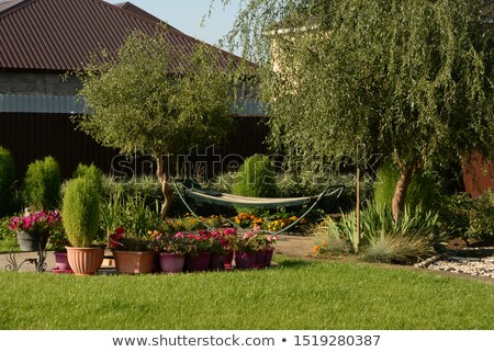 Foto stock: Artifical Gras Background