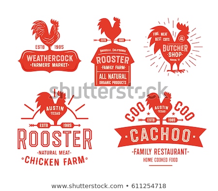 Foto stock: Vector Icon Rooster Weathercock