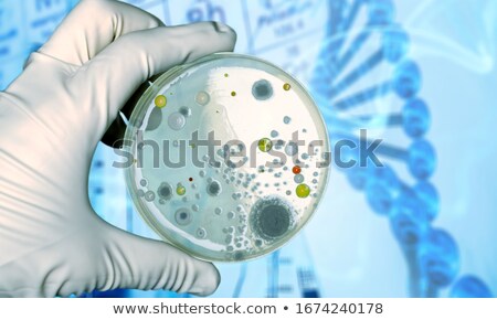 Stok fotoğraf: Petri Dish Bacteria