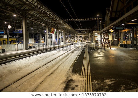 Stock photo: Winternight