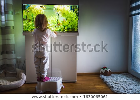 [[stock_photo]]: Happy Family Looking At Fish Tank