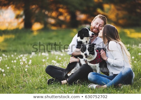 Stockfoto: Couple Of Dogs In Love