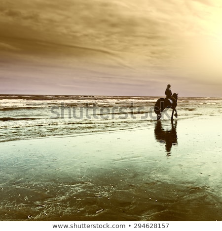 Stock photo: Horsewoman On The Beach