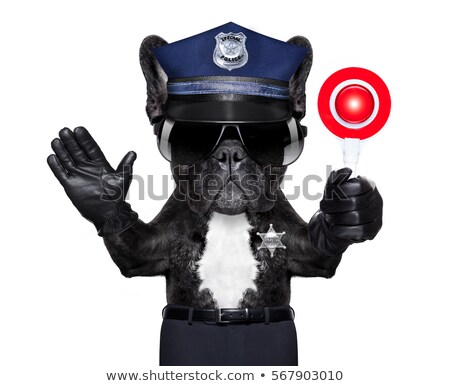 Foto stock: Police Dog On Duty With Stop Sign And Hand Isolated On White Blank Background