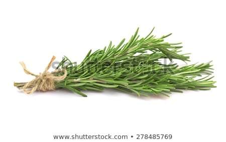 Stock photo: Fresh Rosemary Sprig