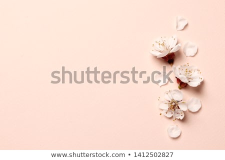 Stock fotó: Floral Greeting Card Flower Frame Over White Background