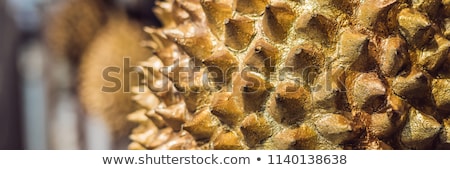 Zdjęcia stock: Golden Durian Fruit Of Asia Durian Painted With Gold Paint