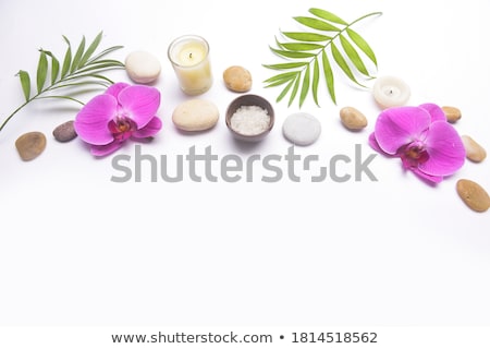 [[stock_photo]]: Zen Wooden Background With Grey Stones And Green Leaves