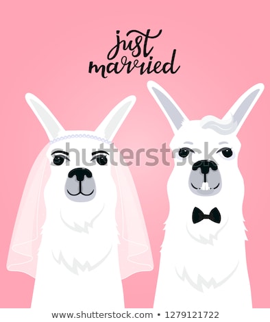 Foto stock: Couple Llamas Newlyweds Bride In Veil The Groom In A Bow Tie Hand Lettering Just Married