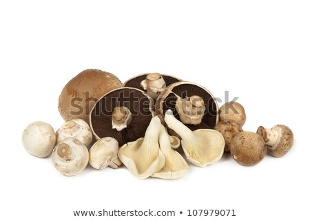 Сток-фото: Mushroom Varieties Over White