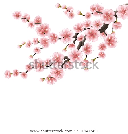 [[stock_photo]]: Realistic Sakura Japan Cherry Branch Eps 10