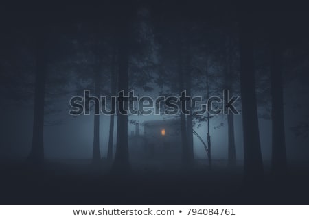 Сток-фото: Lamp Light In The Dark Forest