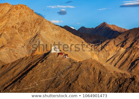 ストックフォト: Ruins Of Tsemo Victory Fort On The Cliff Of Namgyal Hill And Lungta - Colorful Buddhist Prayer Flags