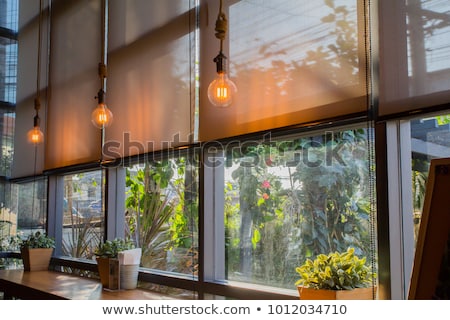 Foto stock: Blind On Window