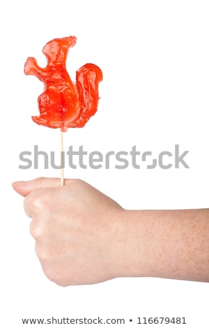 Stock fotó: Hand Holding Squirrel Shape Lollipop