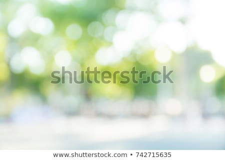 Сток-фото: Abstract Blurred Background
