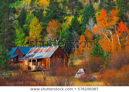 Foto d'archivio: The Colors Of Autumn Hope Valley California