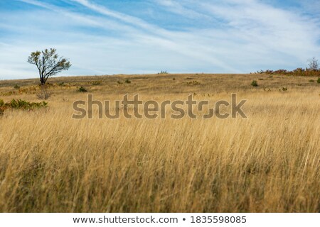 Foto stock: Summer Storm On Hay Field In Spain Countryside